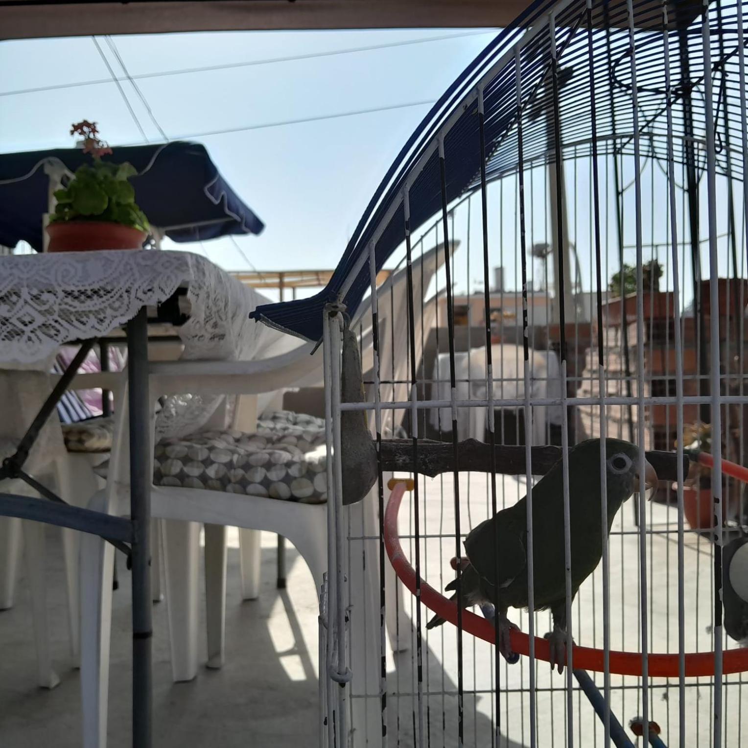 Akao House Ξενοδοχείο Αρεκίπα Εξωτερικό φωτογραφία